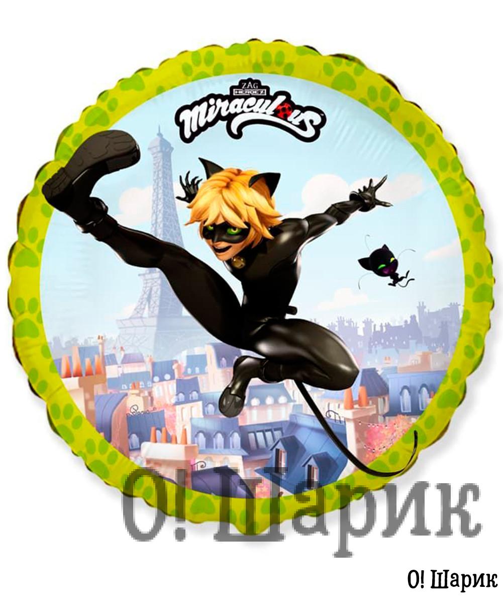 №4.21 Фольгированные шары Леди Баг и Супер Кот — изображение 5